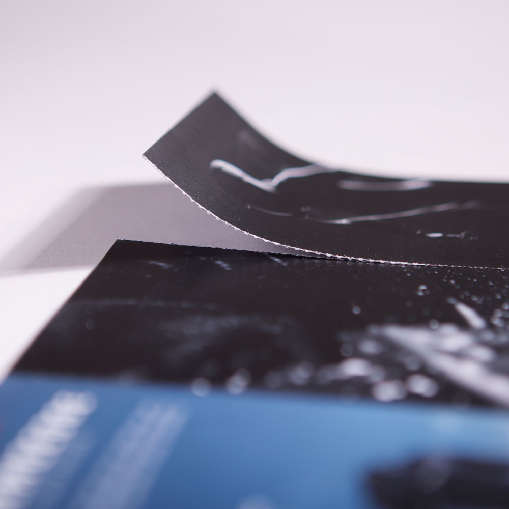 DL Perforated C-Fold Folded Leaflet Partly Torn Macro
